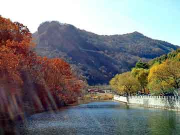 新澳天天开奖资料大全旅游团，赵又廷搂女助理